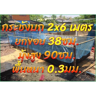 กระชังบก2x6ยกขอบ38ซม.พื้นหนา0.30มม.มุ้งสูง90ซม.