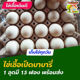 ไข่เชื้อเป็ดบาบารี่ สำหรับการฟัก 15 ฟอง