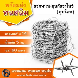 ลวดหนามชุบกัลวาไนซ์(ชุบร้อน) #14 น้ำหนัก 5 กก. ลวดล้อมสนาม ล้อมรั้ว Galvanized Barbed Wire #14