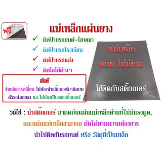 แม่เหล็กแผ่นยาง RB : 200 x 600 มิล