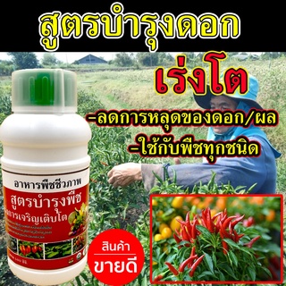 🛒พร้อมส่ง🛒 น้ำยาเร่งพริกดก ขั่วเหนียว 500 ซีซี ปุ๋ยพริกดก ปุ๋ยพริก ติดผลดก ขั้วเหนียว ลดการหลุดร่วง ยาฮอร์โมนเร่งดก