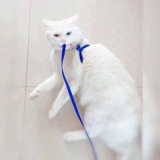 PEKO PET&CAT สายจูงสัตว์เลี้ยง แบบสองวรรค สำหรับสุนัข แมว กระต่าย สายจูงเชือกไนล่อน มีหลายสี