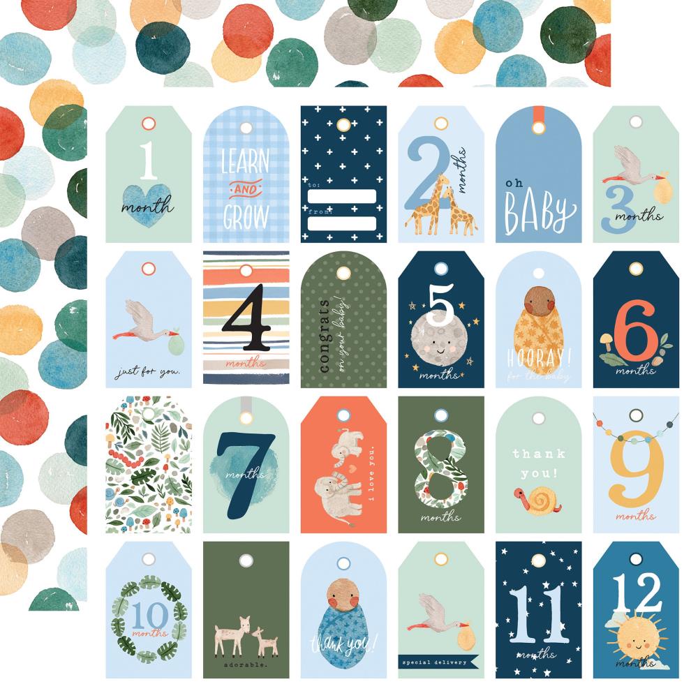 Echopark paper. กระดาษ Welcome Baby Boy Double-Sided Cardstock 12"X12": Boy Tags
