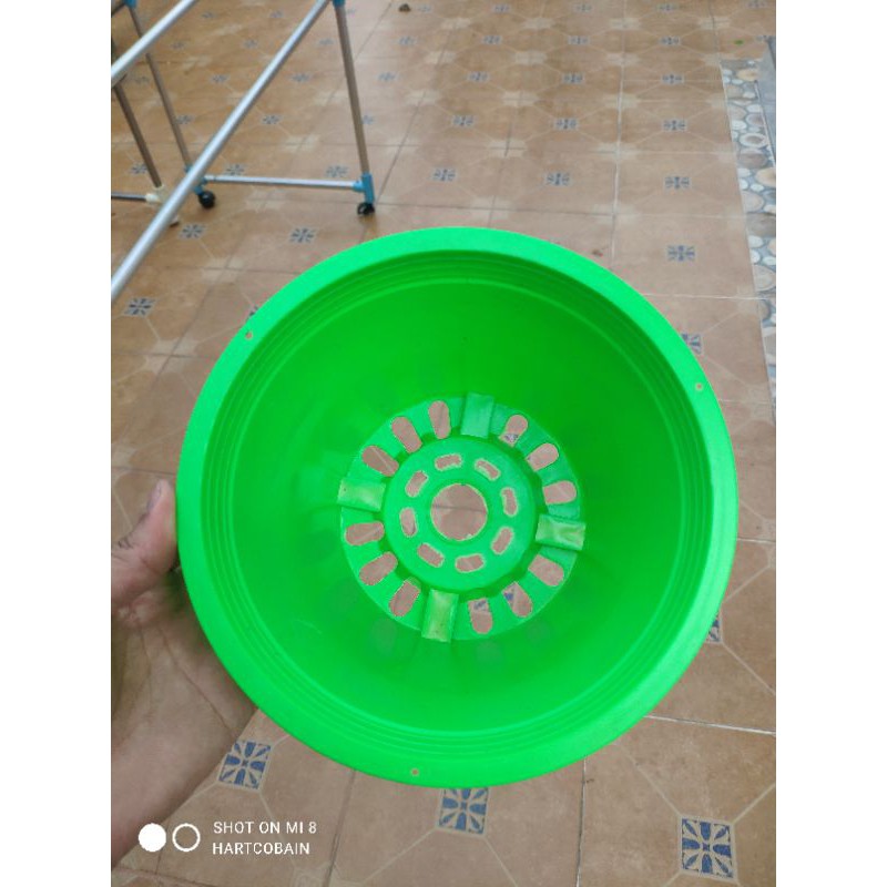 กระถางสีพาสเทล คละสี แพคละ 10 ใบ และ 5 ใบ ขนาด 6 และ 8 นิ้ว - รูปที่ 7