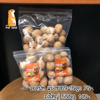 วอลนัทพร้อมเปลือก⭐️สำหรับสัตว์ฟันแทะ