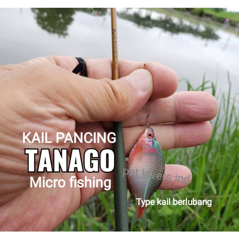Tanago ตะขอตกปลา / Rasbora / รองเท้า / wader Number 0.1 | Shopee Thailand