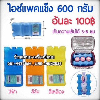 Ice Pack ไอซ์แพคแข็ง 600 กรัม