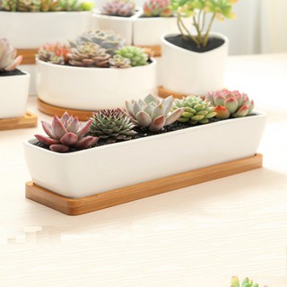 Plants Center T208 พร้อมส่ง กระถางต้นไม้ เซรามิกขาวทรงยา มีถาดรองไม้ ขนาด 27.5x5.8x4.8cmเป็นเซรามิกเคลือบเงา ไม้อวบน้ำ