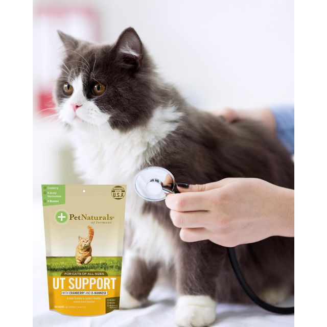 💥ถูกสุด​💥นำเข้าจากUSA​ แก้ปัญหา​น้องแมวฉี่ยากฉี่ไม่ออกฉี่นาน UT Support with Cranberry and D-Mannose