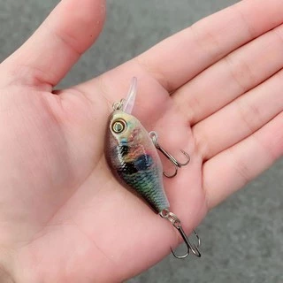 Syfishing เหยื่อตกปลา สีสันสดใส 5.2 ซม. เหยื่อตกปลา แบบลอยน้ํา 8.5 กรัม