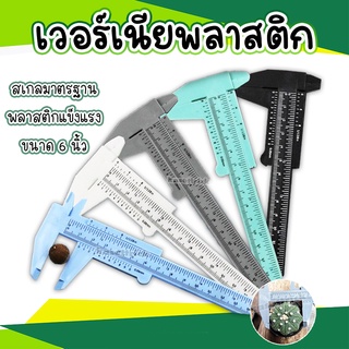 เวอร์เนียร์พลาสติก สเกลมาตรฐาน ใช้วัดขนาดวัตถุต่างๆ วัดขนาดแคคตัส กระบองเพชร ขนาด 15 ซ.ม.