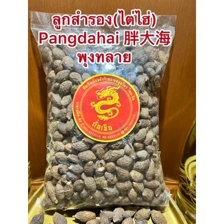 ลูกสำรอง (ไต่ไฮ่) Pangdahai 胖大海 พุงทลาย