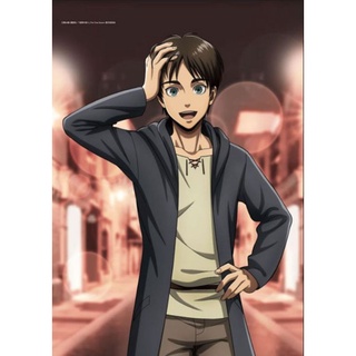 ผ้าแขวน Attack on Titan Wall Scroll Eren