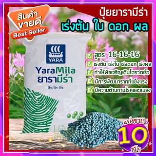 ปุ๋ยยารามีร่า 10 กก.🥑 สูตร 16-16-16 ปุ๋ยเคมี เร่งการเจริญเติบโตของต้น ใบ ดอก และผล สม่ำเสมอ ปุ๋ยใส่ต้นไม้ ปุ๋ยใส่ผัก