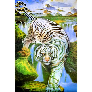 โปสเตอร์ รูปวาด ภูกันจีน เสือ ภาพมงคล เสริมฮวงจุ้ย Tiger 水墨 POSTER 23”x34” นิ้ว Chinese Brush Painting Ink Wash Art V1