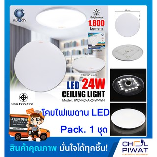 โคมไฟซาลาเปาติดเพดานทรงกลมLED โคมไฟติดเพดาน LED 24 วัตต์ IWACHI แสงสีขาว DAYLIGHT