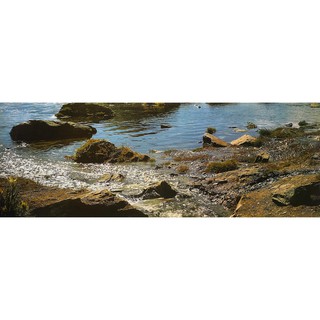 โปสเตอร์ รูปถ่าย วิว ธรรมชาติ โขดหิน ทางน้ำไหล Landscapes Nature POSTER 13”x39” Inch Beautiful Earth Boulder Water Flow