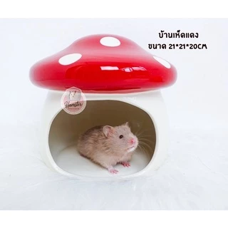 [Hamsterthailand] บ้าน เซรามิค คลายร้อน บ้านเซรามิค บ้านแครอท บ้านเห็ด บ้านสตอเบอรี่ จัมโบ้!! บ้านแฮมเตอร์