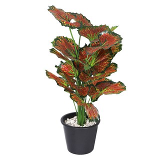 ต้นบีโกเนียประดิษฐ์ TY-01F 50 ซม. ARTIFICIAL BEGONIA SPRING TY-01F 50CM