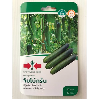 แตงร้าน จัมโบ้กรีน ศรแดง 70 เมล็ด 🥒