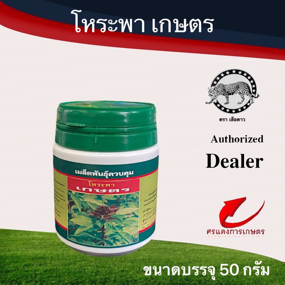 เมล็ดพันธุ์ โหระพาเกษตรเสือดาว(ใบใหญ่) 50g