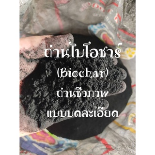 ถ่านไบโอชาร์ (Biochar) หรือถ่านชีวภาพ ผลิตจากไม้ไผ่ ที่ปลูกในสวนของเราเอง แบบบดละเอียด