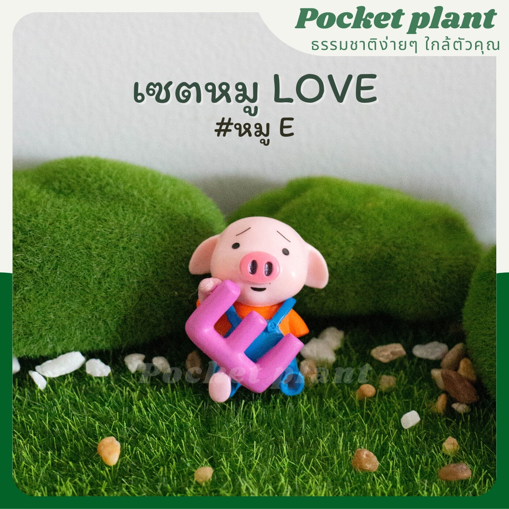 มุมมอง 6