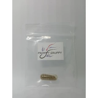 ไข่ไรนางฟ้าไทย (Fairy Shrimps) ในแคปซูลใหญ่เบอร์1 อาหารปลาสำหรับลูกปลาแรกเกิด