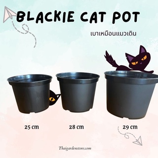 ราคา 6 ใบ , 12 ใบ กระถางพลาสติกBlackie Cat Pot กระถางเบาเหมือนแมวเดิน ขายขนาดละ 6ใบ/12ใบ