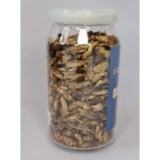 ซุปเปอร์ซิ่งสะดิ้งฟรีซดราย Super Zing Freeze Dried Cricket Acheta สำหรับสัตว์กินแมลง ชูก้า กระรอก เม่นแคระลิงมาโมเสท