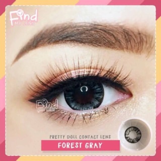 (2) Forest Gray Pretty Doll / Indy Gray Sweety+  บิ๊กอาย สีเทา เทา โทนแบ๊ว คละแบรนด์ Contact Lens คอนแทคเลนส์ สายตาปกติ