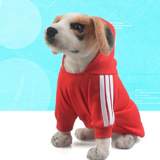 🐶 PSA 🐶 เสื้อผ้าและอุปกรณ์แต่งตัวสำหรับสุนัข เสื้อสุนัขน่ารัก เสื้อกันหนาวสไตล์สปอร์ตสุนัข มีฮู้ดน่ารัก ชุดสัตว์เลี้ยง