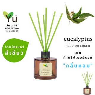 ก้านไม้หอม ไฟเบอร์สีเขียว 50 ml. กลิ่น Eucalyptus : กลิ่นหอมเย็นชุ่มฉ่ำ เย็นชื่นใจ หอมเย็นปลอดโปล่งโล่งสบาย