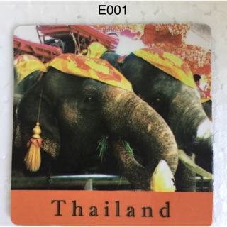 เเม่เหล็กภาพช้าง ของฝากชาวต่างชาติ