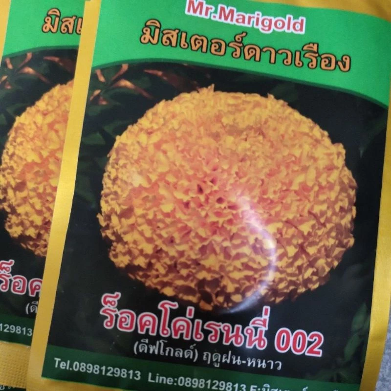 เมล็ดพันธุ์ ดาวเรืองร็อคโค่เรนนี่002บรรจุ1,000เมล็ด