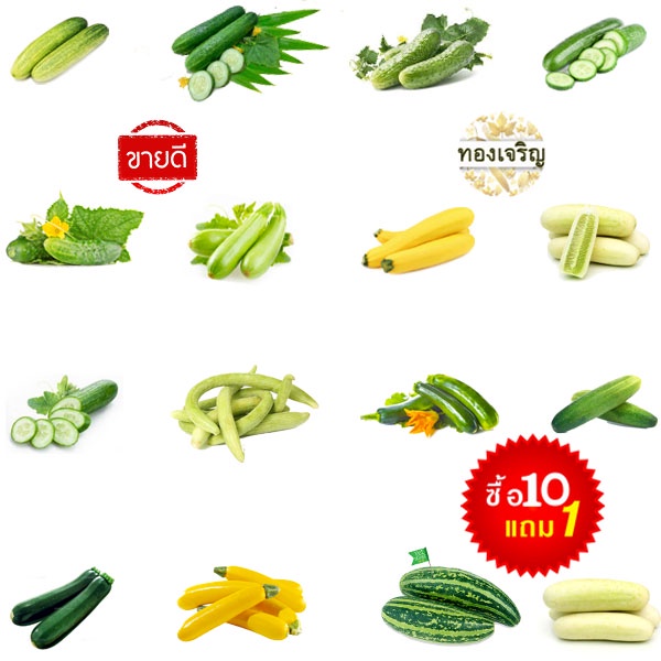 แตง 10แถม1!! แตงทุกสายพันธุ์ ถูกที่สุด10บ. เมล็ดพันธุ์แตงทุกสายพันธุ์ 3-10 เมล็ด ปลูกง่าย ขึ้นไว ผลดก ทานอร่อย