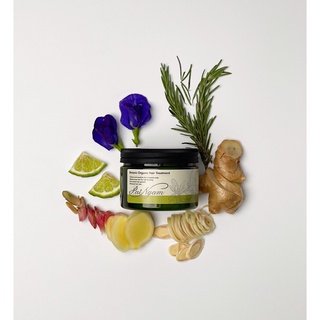 PAI-NGAM Botanic Organic  Hair Treatment ไพรงาม-บอททานิค ออร์กานิค แฮร์ ทรีทเม้นท์  150g