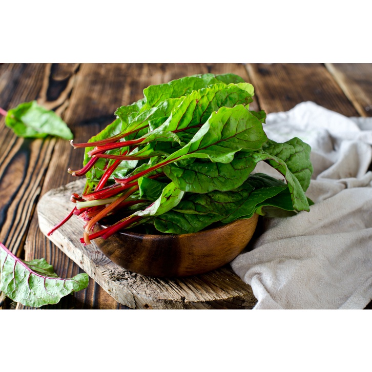 ต้นกล้าสวิสชาร์ด(Swiss chard)    พร้อมปลูก  กล้าละ 12บาท ราคาถูก Shopee Lazada