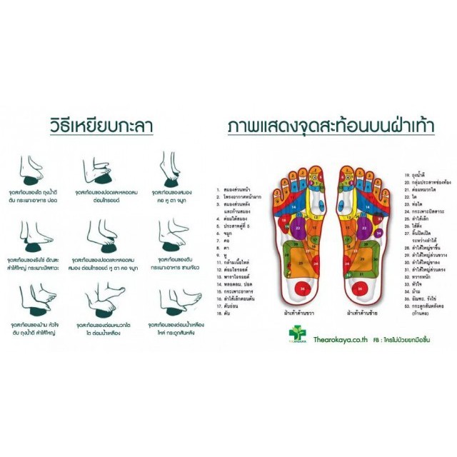 ที่นวดเท้าแบบกะลาคู่ เครื่องนวดเท้า ที่นวดฝ่าเท้า ที่นวดกดจุด คลายเส้น แก้ปวดเมื่อย ไม้นวดเท้าเพื่อสุขภาพ แท่นนวดฝ่าเท้า