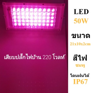 ไฟปลูกต้นไม้ LED 50W แสงสีขมพู ไฟปลูกพืช สปอร์ตไลท์ 220V ตัวบาง 2x10x21cm งานภายนอก โดนฝนได้ IP67 สายไฟยาว 1ฟุต