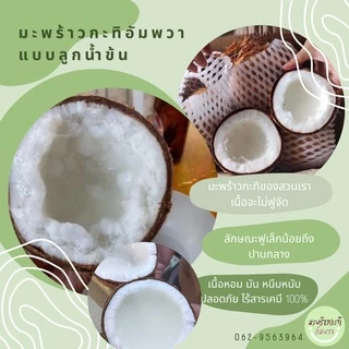 ✅ พร้อมส่ง❗️ราคาดีที่สุด ถูกมาก❗️มะพร้าวกะทิลูก🌴 มะพร้าวกะทิ มะพร้าวกะทิเนื้อฟู มะพร้าวกะทิน้ำข้น มะพร้าวกะทิพร้อมทาน