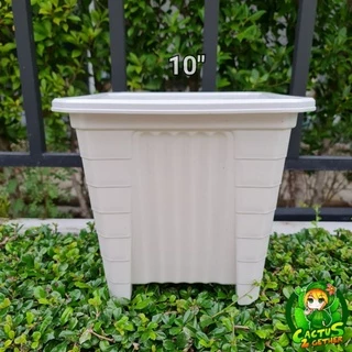 ถูกและหนา‼️กระถางเหลี่ยมทรงโรมัน(ทรงสูง)มีขา หนา 7"/10"/14" ❌️กระถางกับจานขายแยกค่ะ❌️ สีขาวครีม/เทา/ดำ/อิฐ