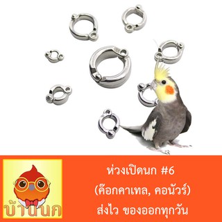 ห่วงเปิดนก #6 ห่วงขานก  แหวนนก (ค๊อกคาเทล, คอนัวร์,กรีนชีค)