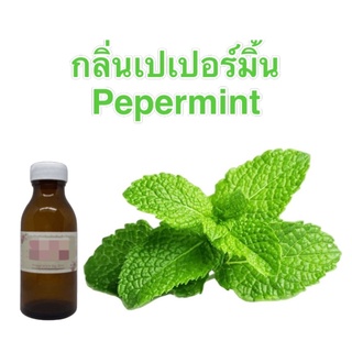 Fragrance Oil กลิ่นเปเปอร์มินท์ Pepermint ลดราคาพิเศษ