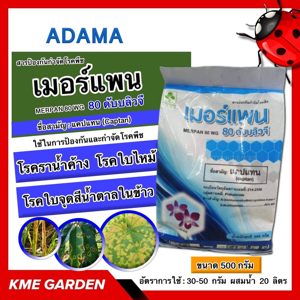 🦠โรคพืช🦠 เมอร์แพน แคปแทน ADAMA ขนาด 500 กรัม โรคราน้ำค้าง แอนแทรคโนส โรคใบไหม้ โรคใบแห้ง โรคใบปื้นเห