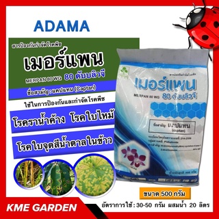 🦠โรคพืช🦠 เมอร์แพน แคปแทน ADAMA ขนาด 500 กรัม โรคราน้ำค้าง แอนแทรคโนส โรคใบไหม้ โรคใบแห้ง โรคใบปื้นเหลือง โคนเน่า โรคใบจุ