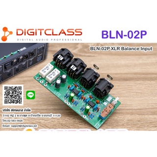 DIGITCLASS Stereo Balanced Inputs BLN-02P