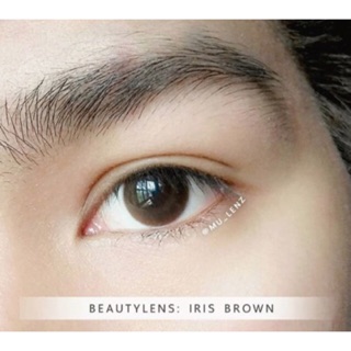 Beautylens บิ้วตี้เลนส์ : IRIS BROWN ขนาดเท่าตา