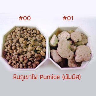 หินพัมมิส หินระบบกรอง 0.5 กิโล 1 กิโล