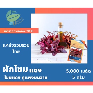 ผักโขมแดง (Red Amaranth)